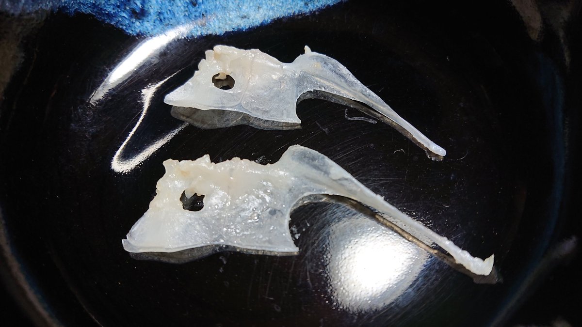 hiro_kero tweet media