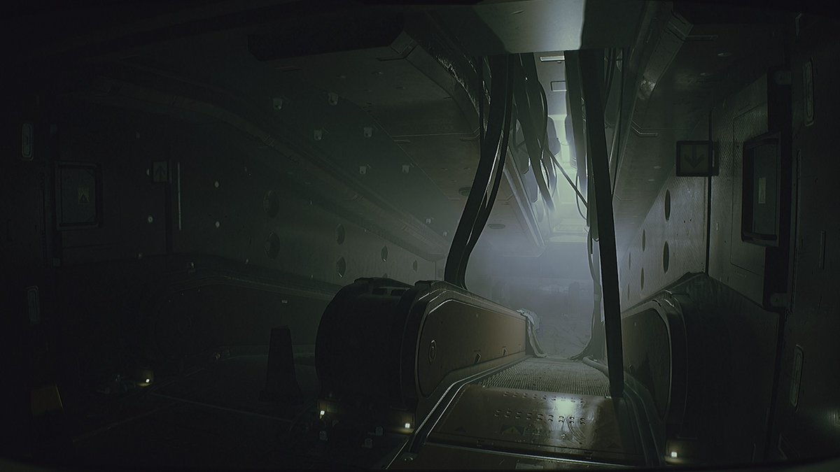 ktsf✨🪴 tweet media