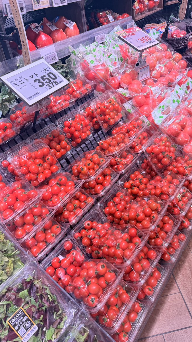 diiii 🦋💫 tweet media