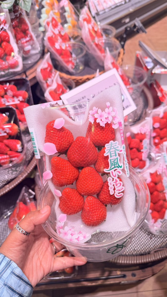 diiii 🦋💫 tweet media