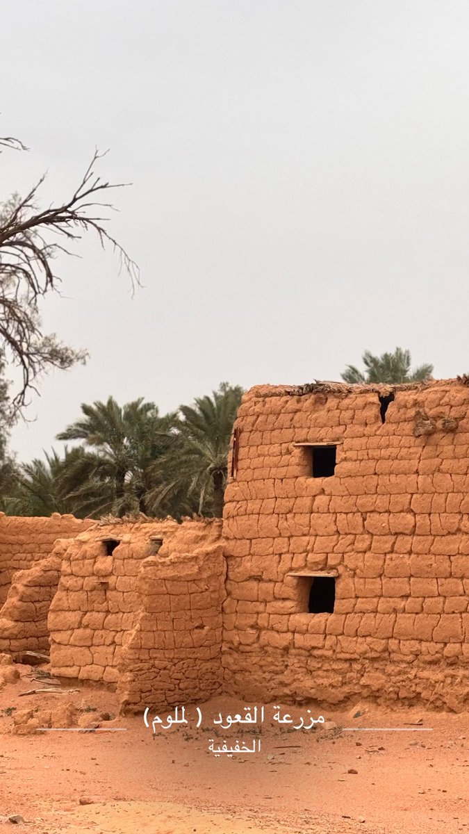 سالم القعود tweet media