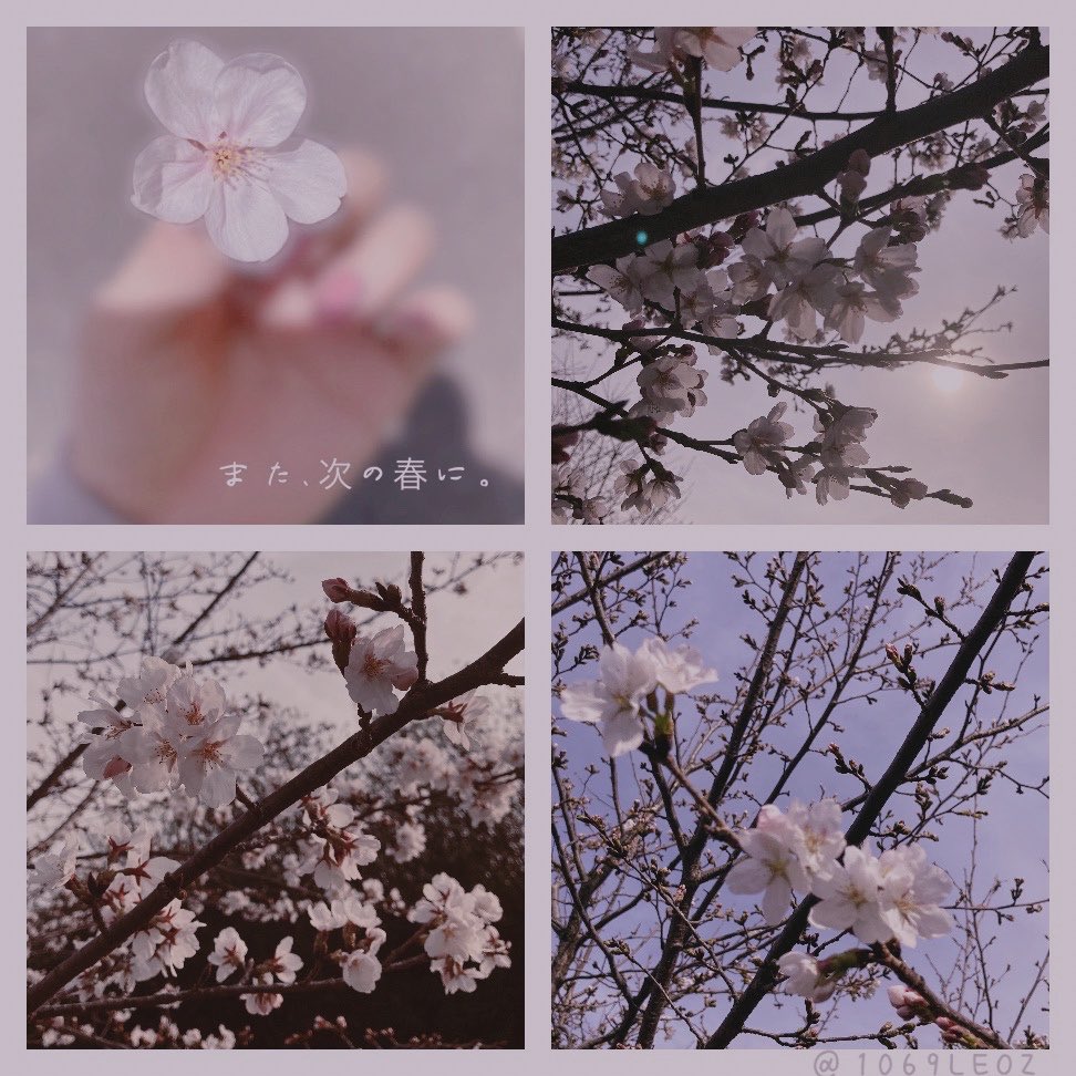 天神橋筋六丁目 tweet media