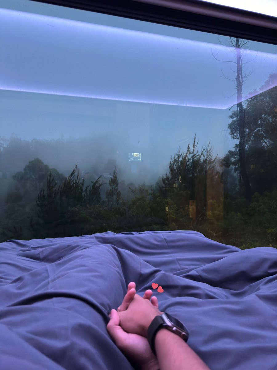 たか 🦅 tweet media