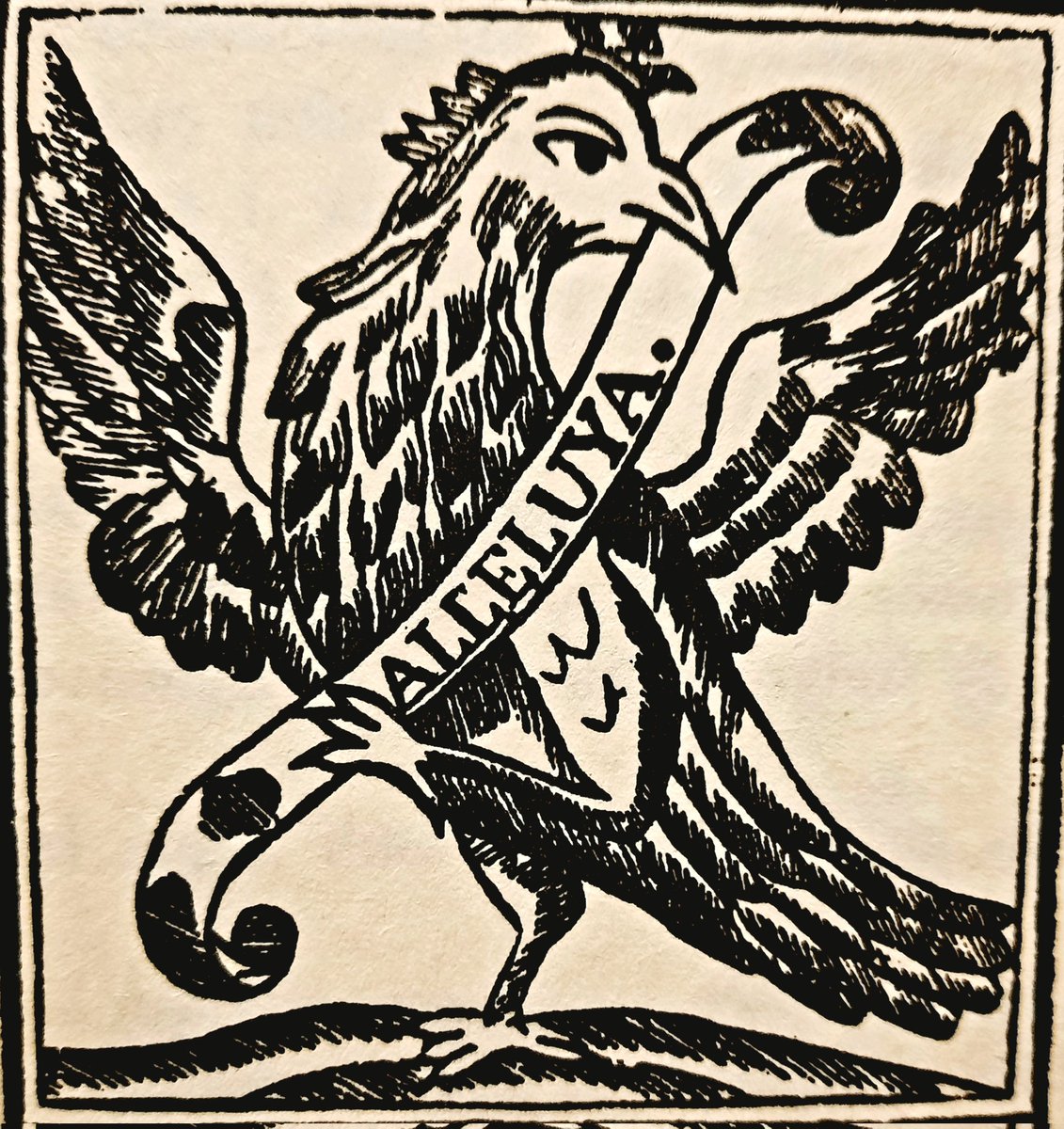 Marcel·lí Virgili ☂️ tweet media