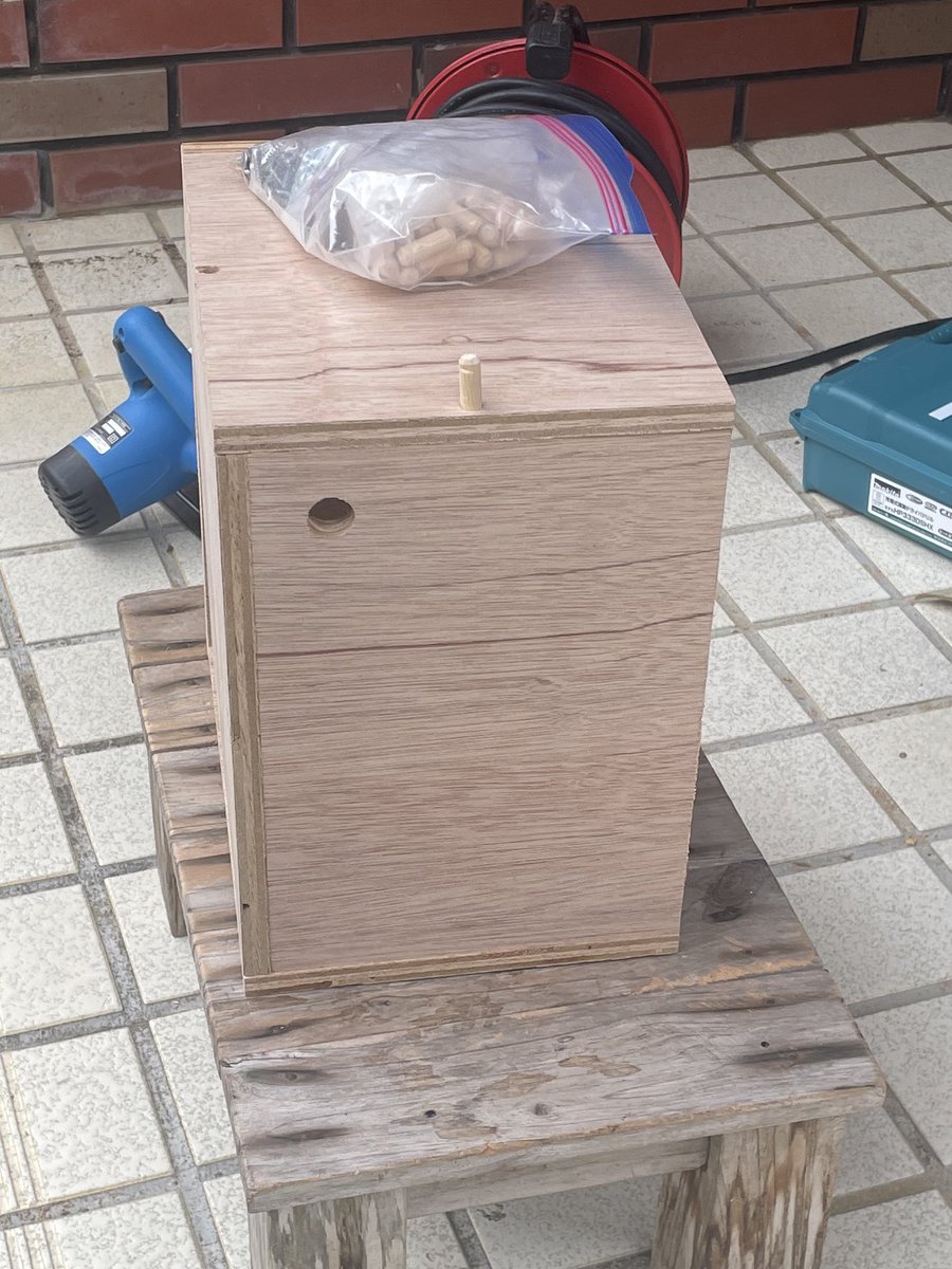 niina_217 tweet media