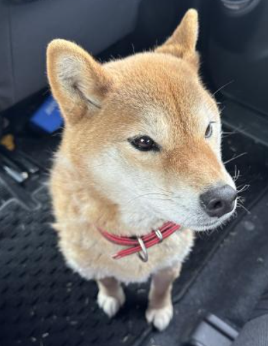 くるみmama tweet media