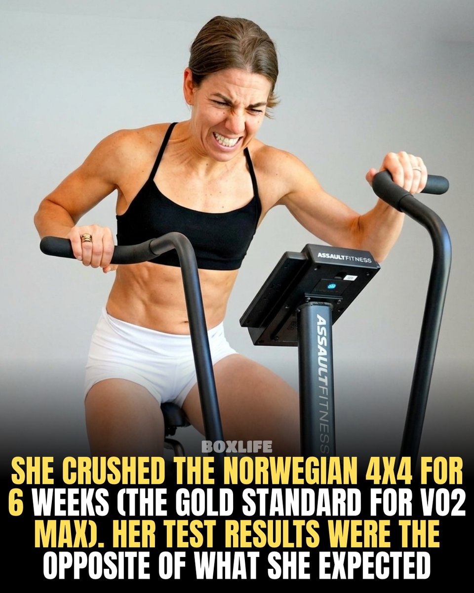 BoxLife Magazine tweet media