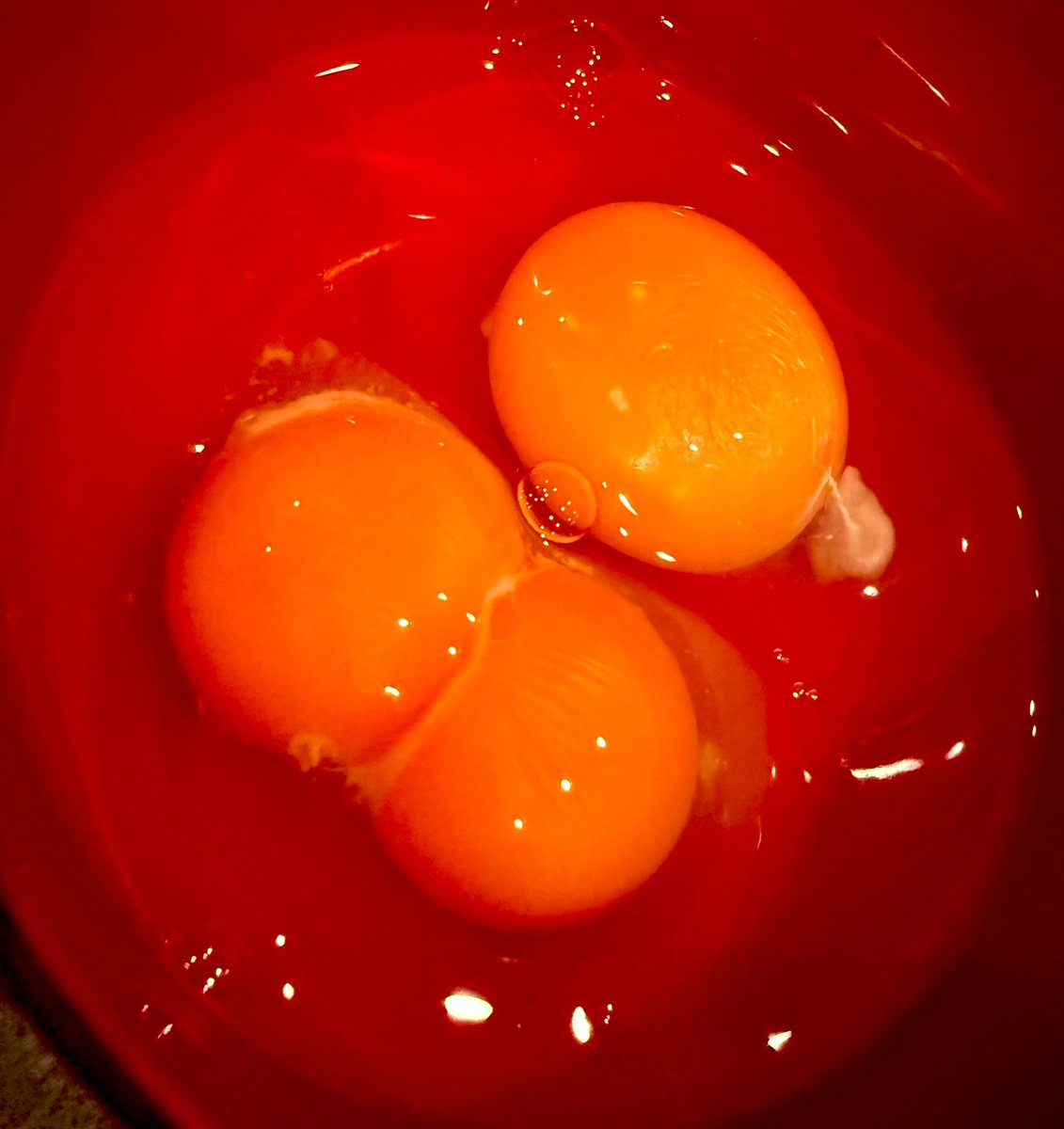 アキ・ローゼンタール🍎新曲『モノポリー』リリース！Aki Rosenthal ホロライブ1期生 tweet media