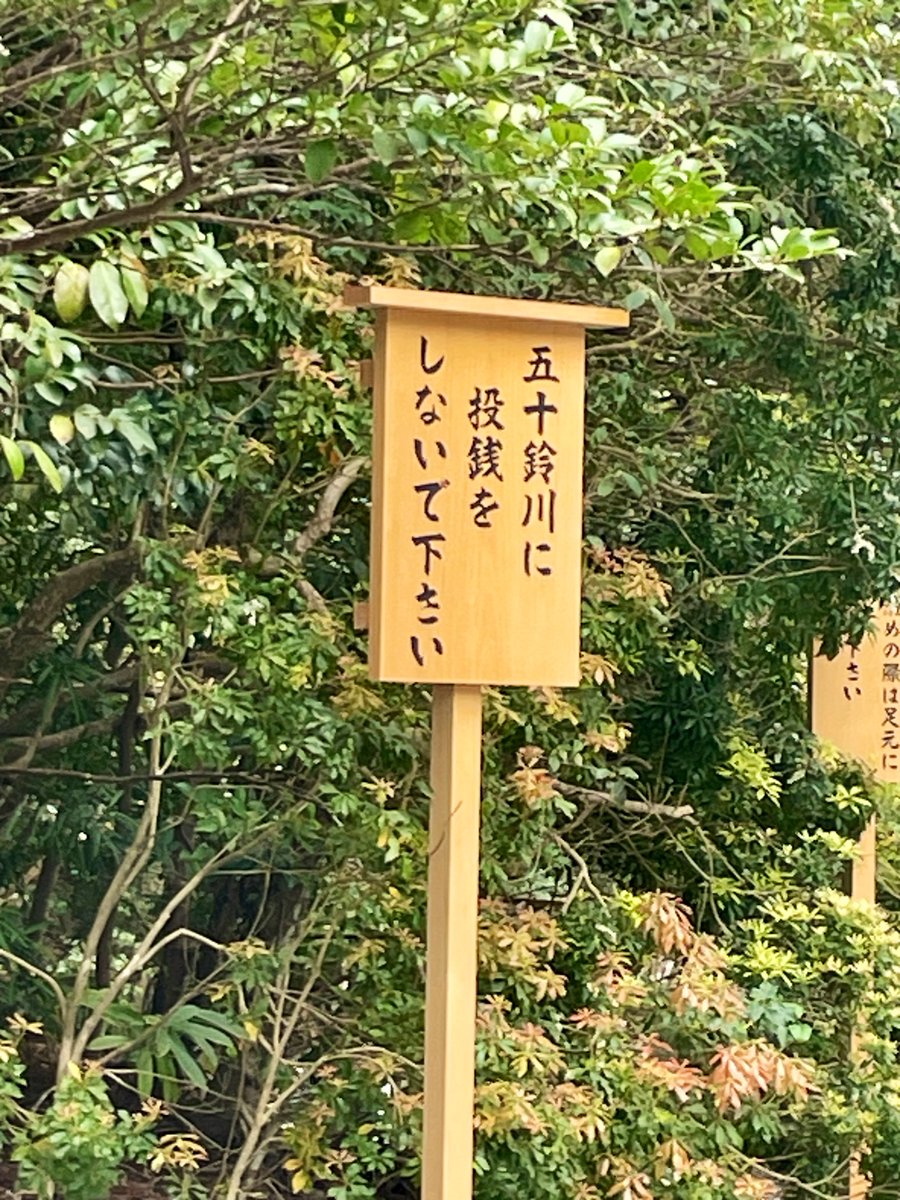 栞屋センタ🔖🍵マヌルネコVtuber tweet media