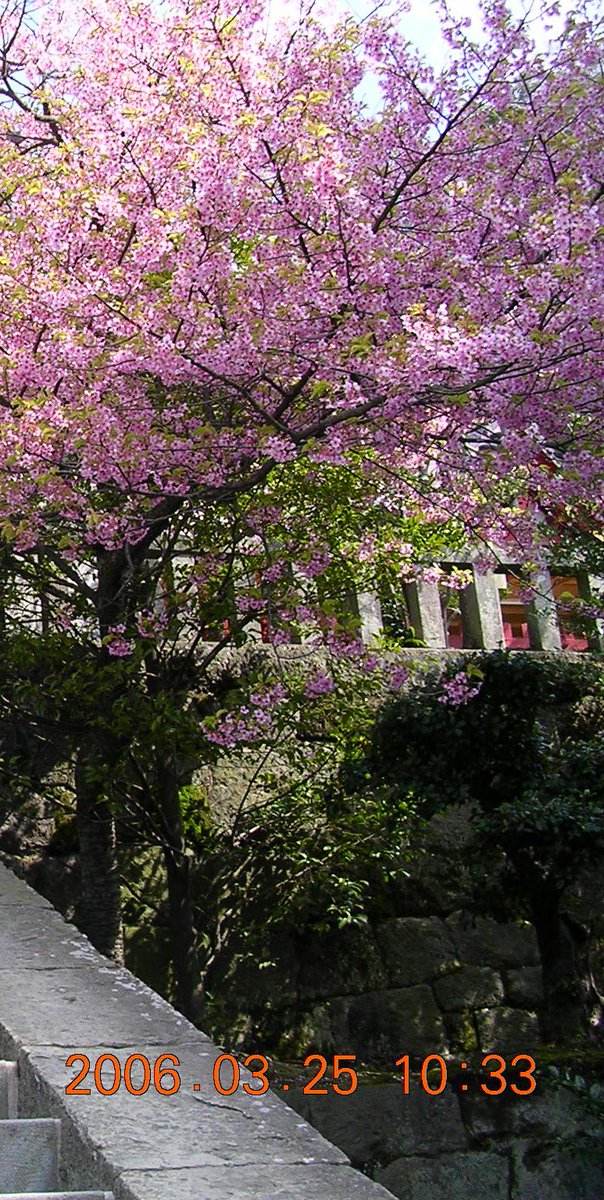 tsubuyakitai tweet media