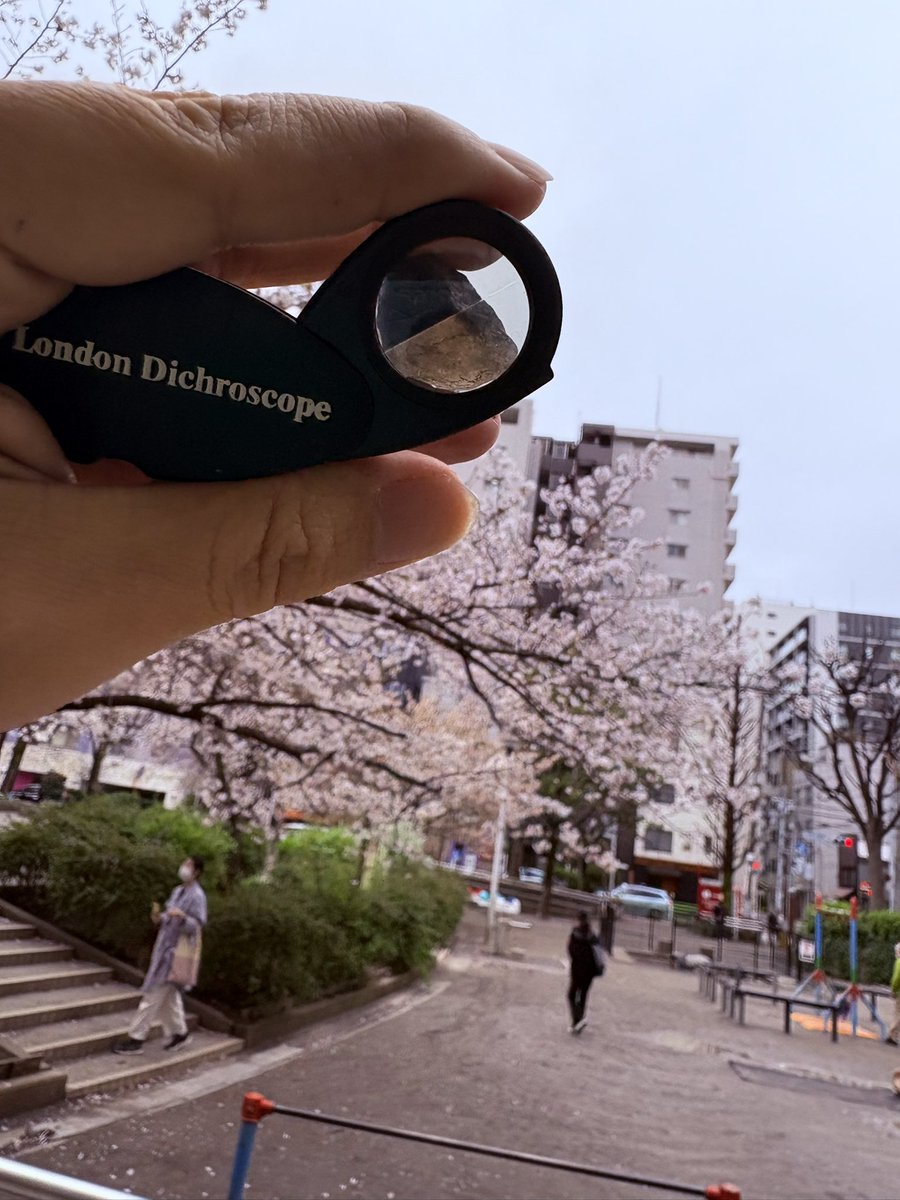 桂田祐介／絵を描く人 tweet media