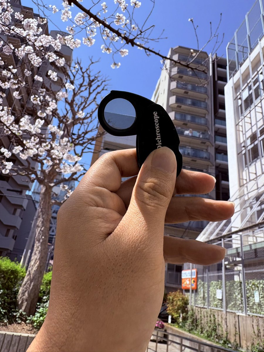 桂田祐介／絵を描く人 tweet media