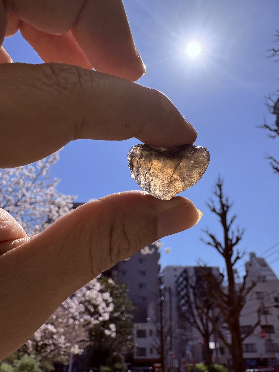 桂田祐介／絵を描く人 tweet media