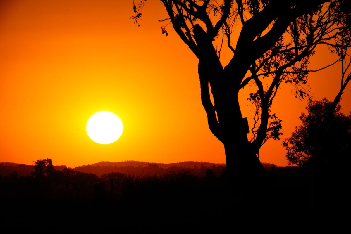 Aaron Ferguson tweet media