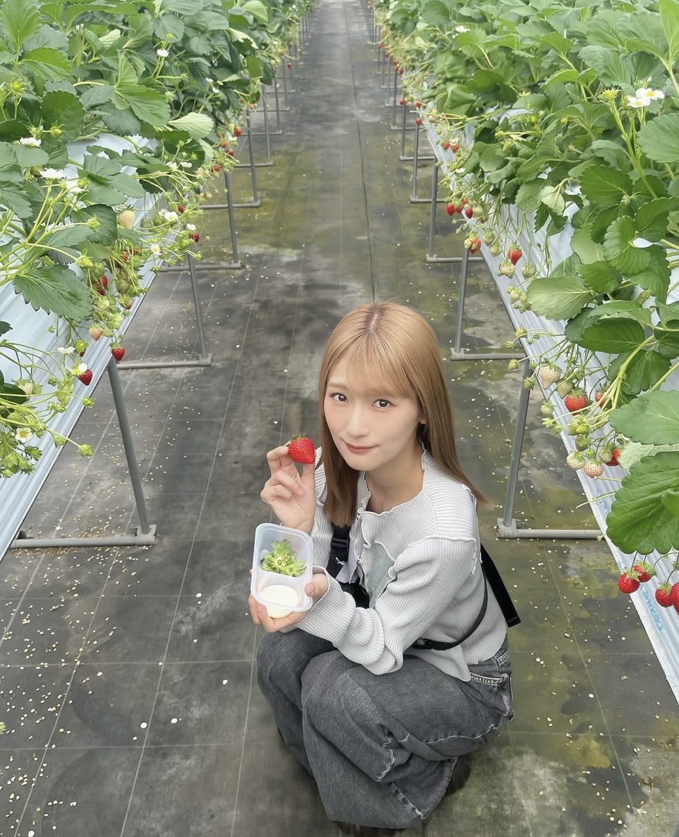 rikanookuchi's tweet photo. いのりちゃんといちご狩りデート🍓ほんと金髪似合いすぎてる

#井上梨名
#いのりちゃん
#inorigram https://t.co/IPSBNVey3D