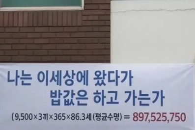 계란아빠 tweet media