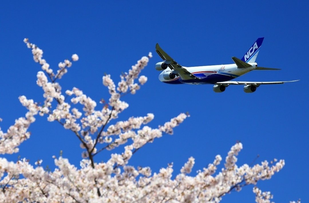 Shimajiro tweet media