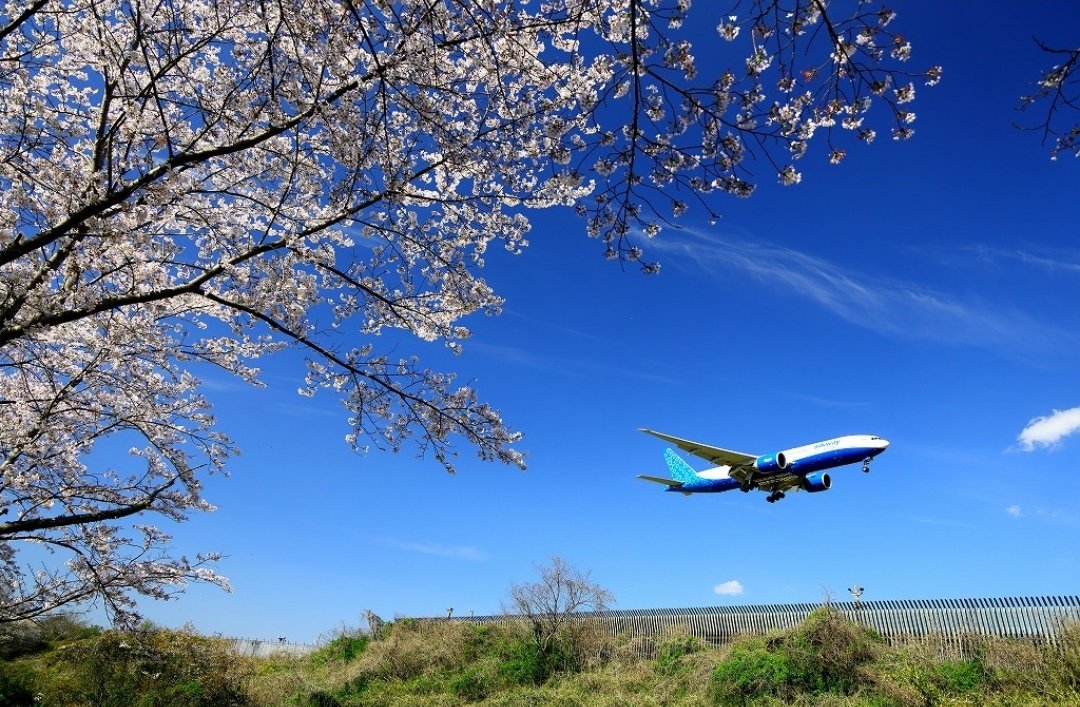 Shimajiro tweet media