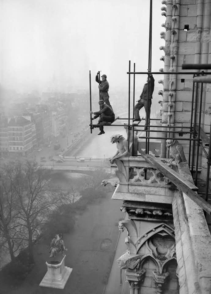 Jan Hoving tweet media