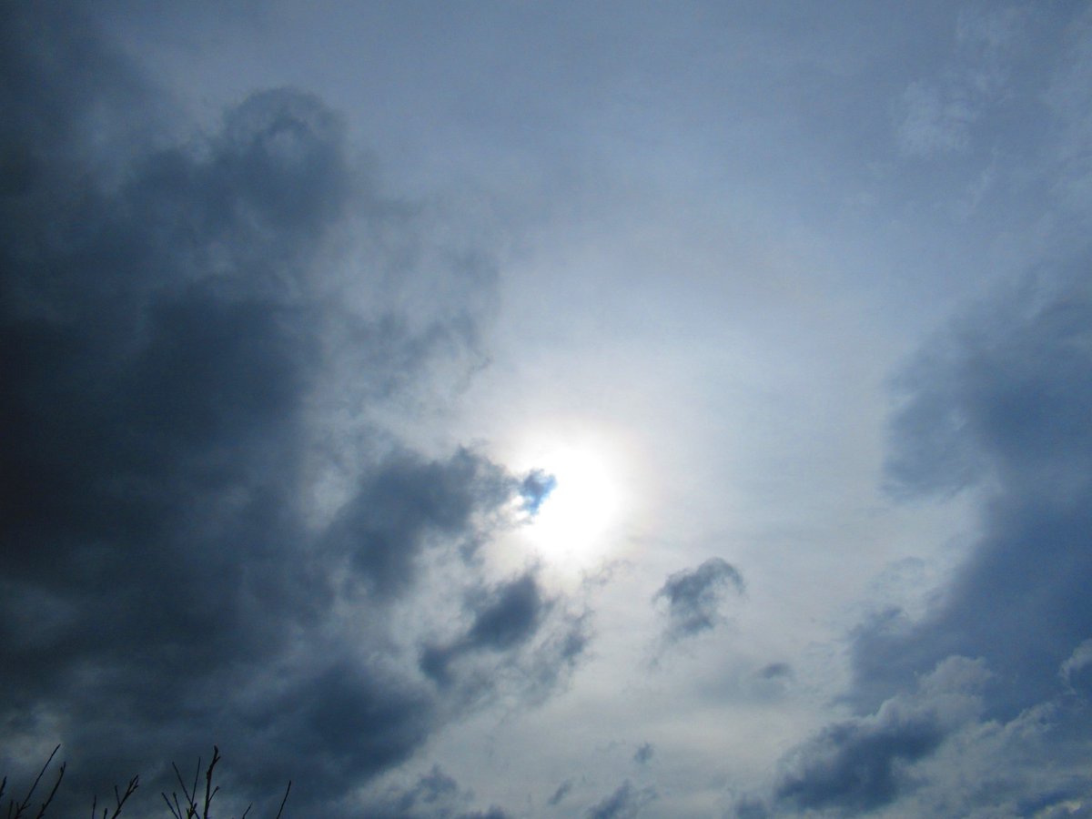 みなみ🐬✨💐 tweet media