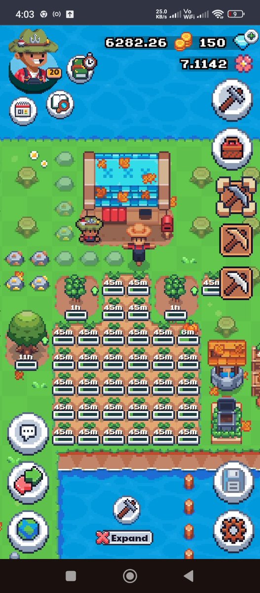 __MaNg0___'s tweet photo. #SunflowerLandFarm https://t.co/IqKoT9riZ7