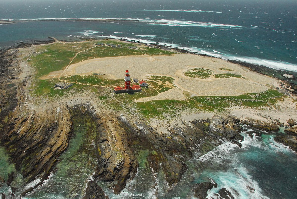 Gcobani Ndzongana tweet media