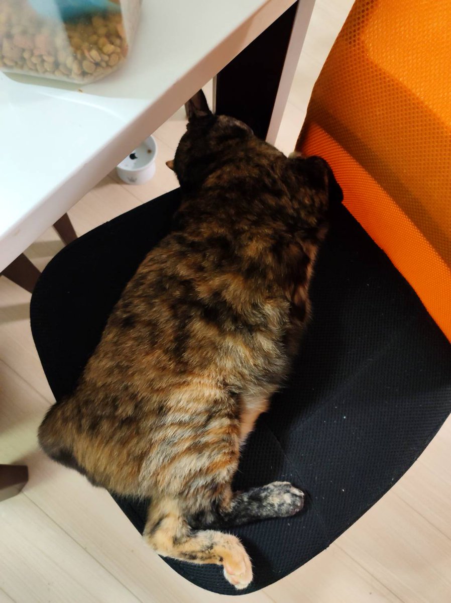 ベルクカイザーズ tweet media