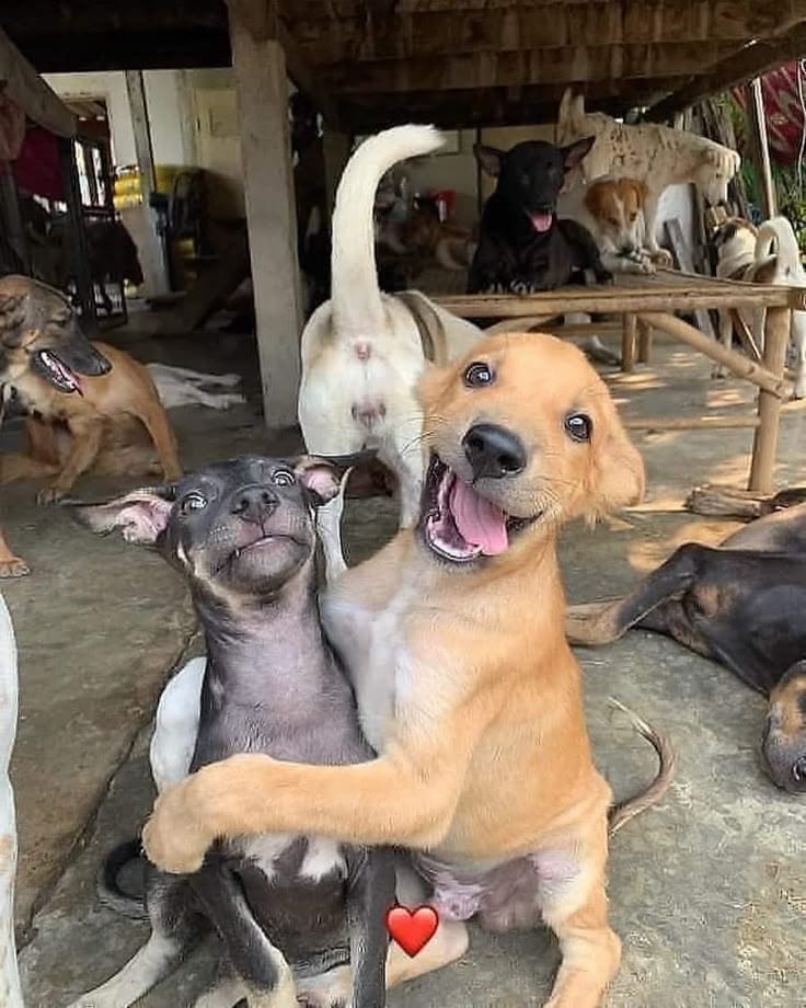 Viviane Fernandes ཐི༏ཋྀ tweet media