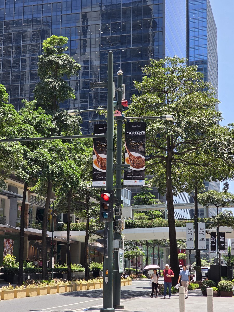 Enzo 🦂 💙 tweet media