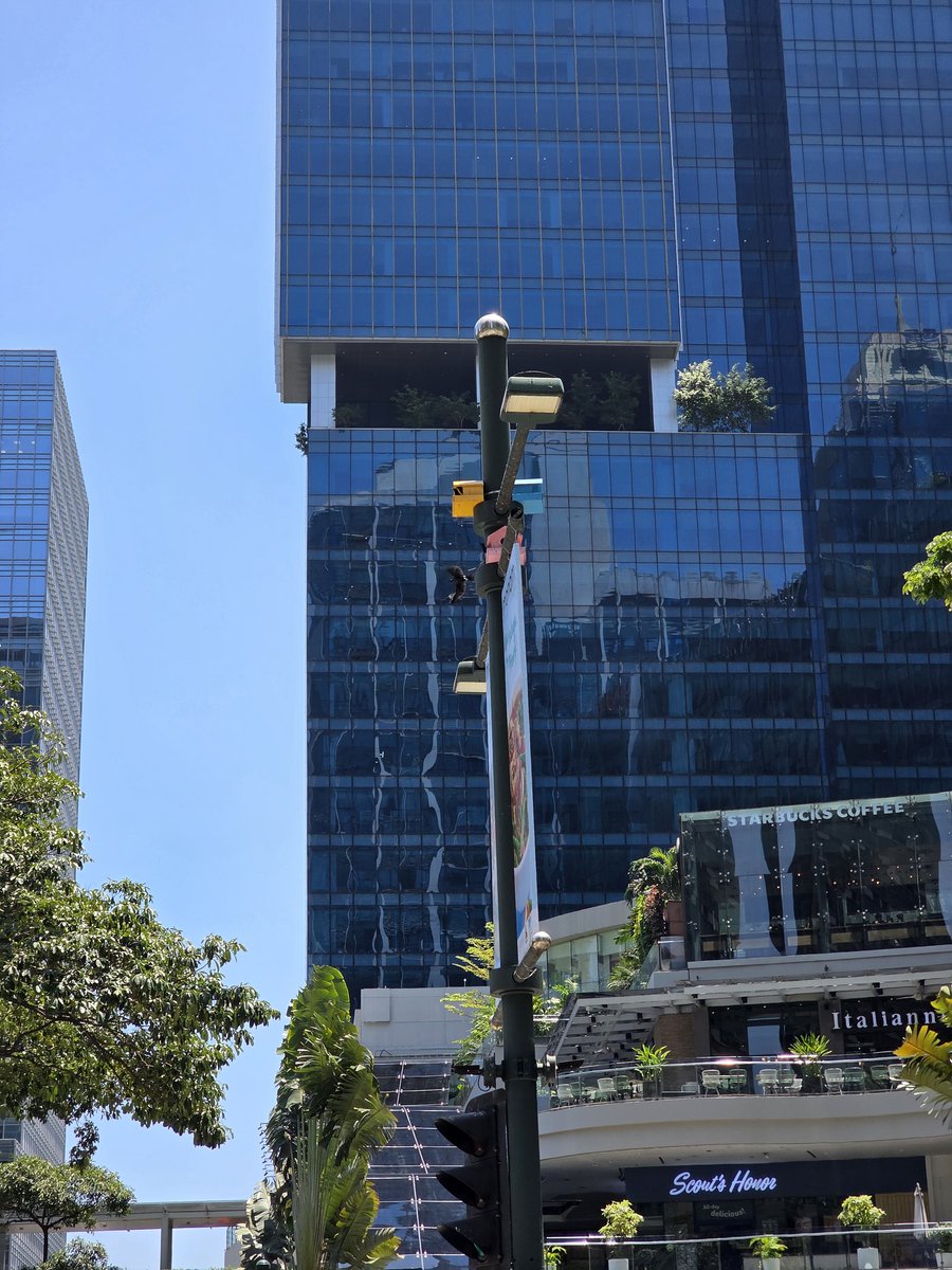 Enzo 🦂 💙 tweet media