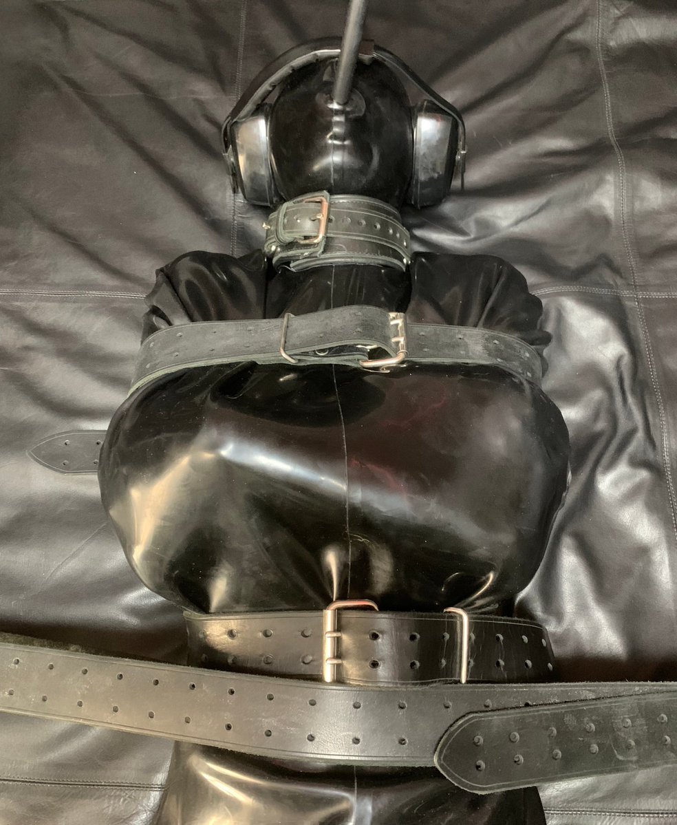 SBondage tweet media