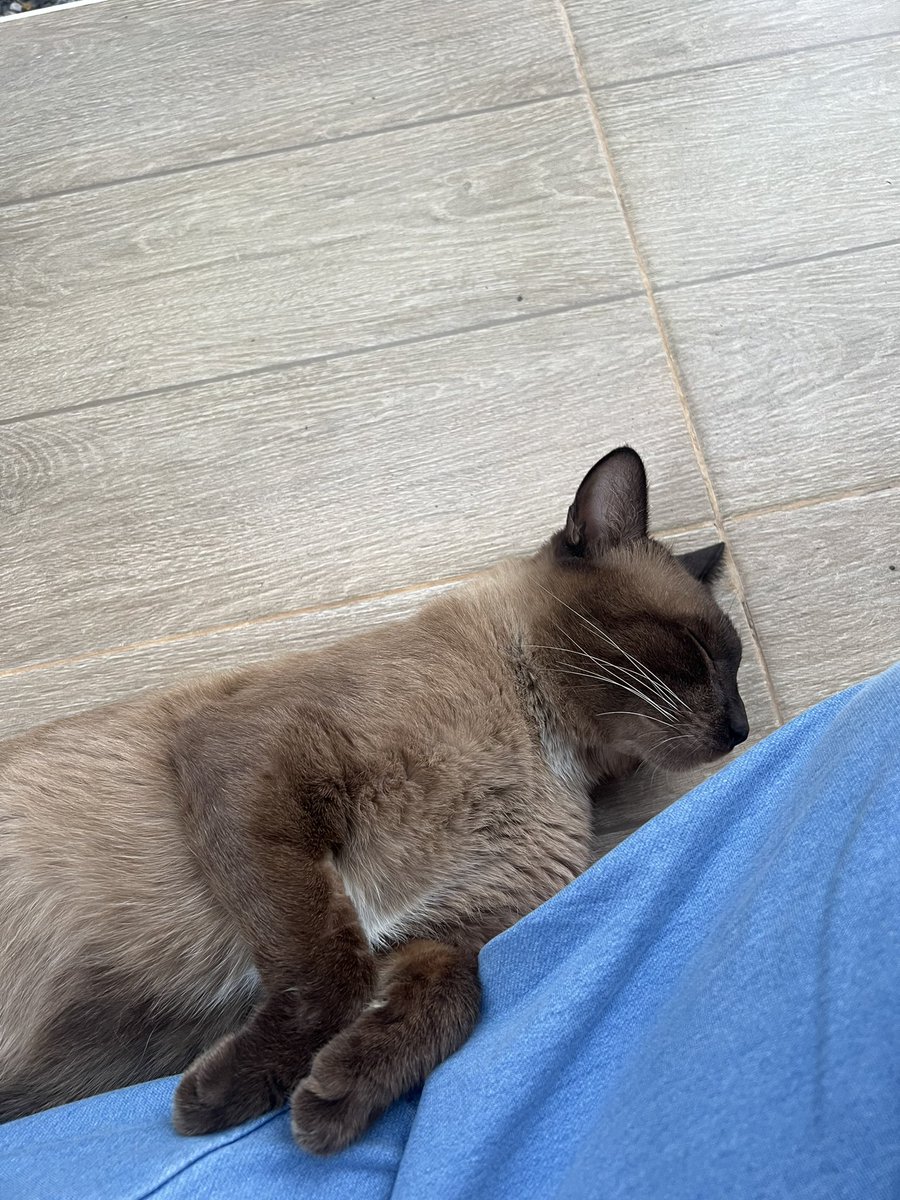 เมกอะวิช_inthezone tweet media