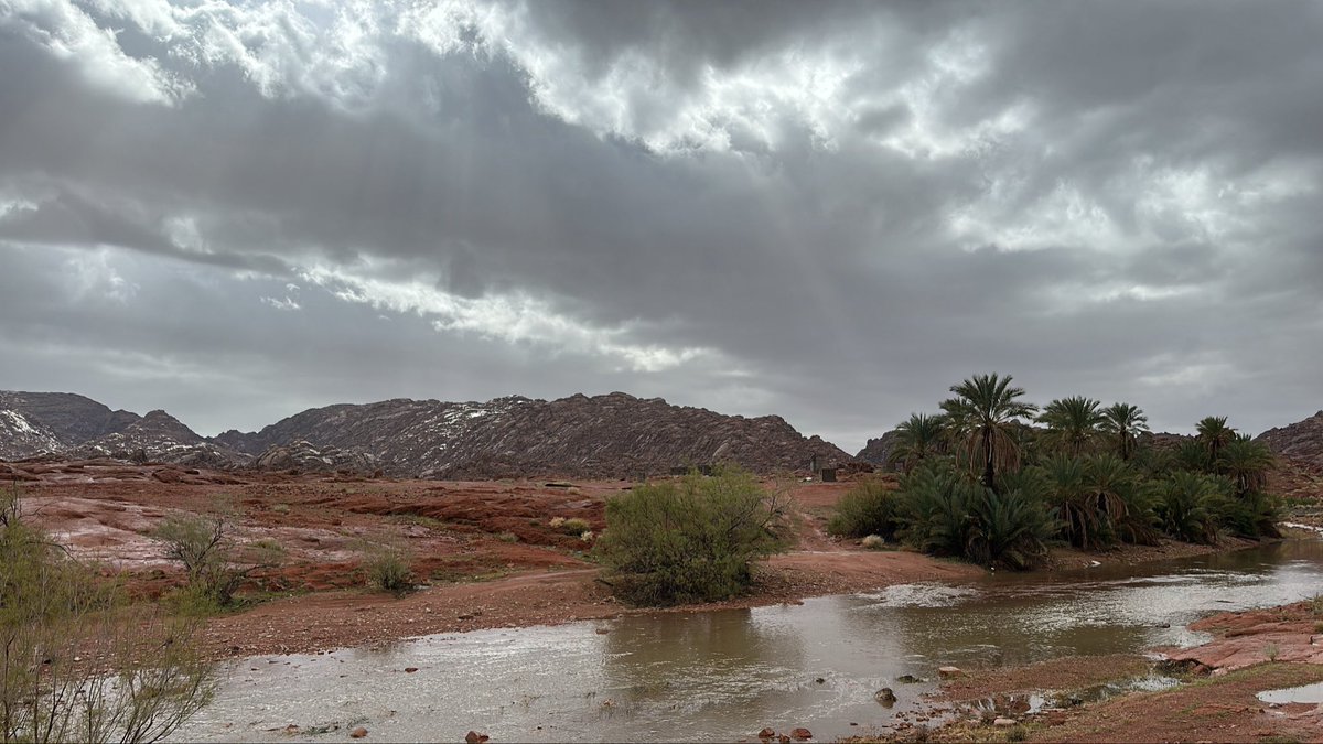 Livealearn tweet media