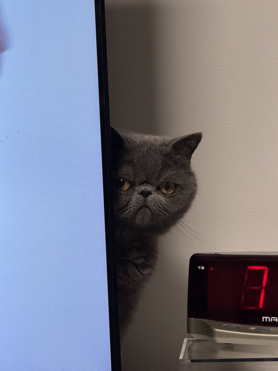 ili_Mandy_ili tweet media