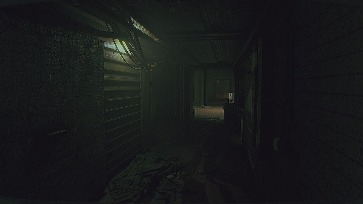 ktsf✨🪴 tweet media