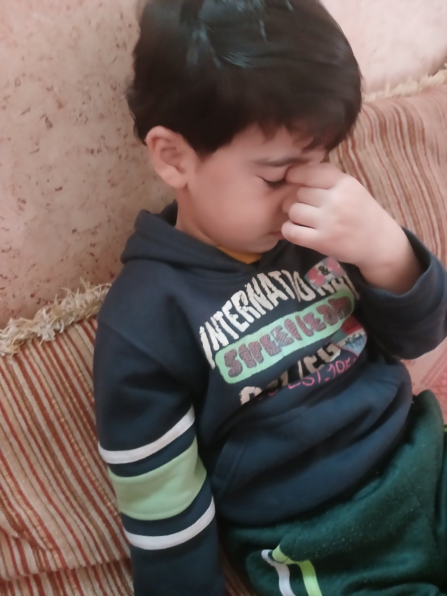 Shereen 𓂆 🇵🇸 tweet media