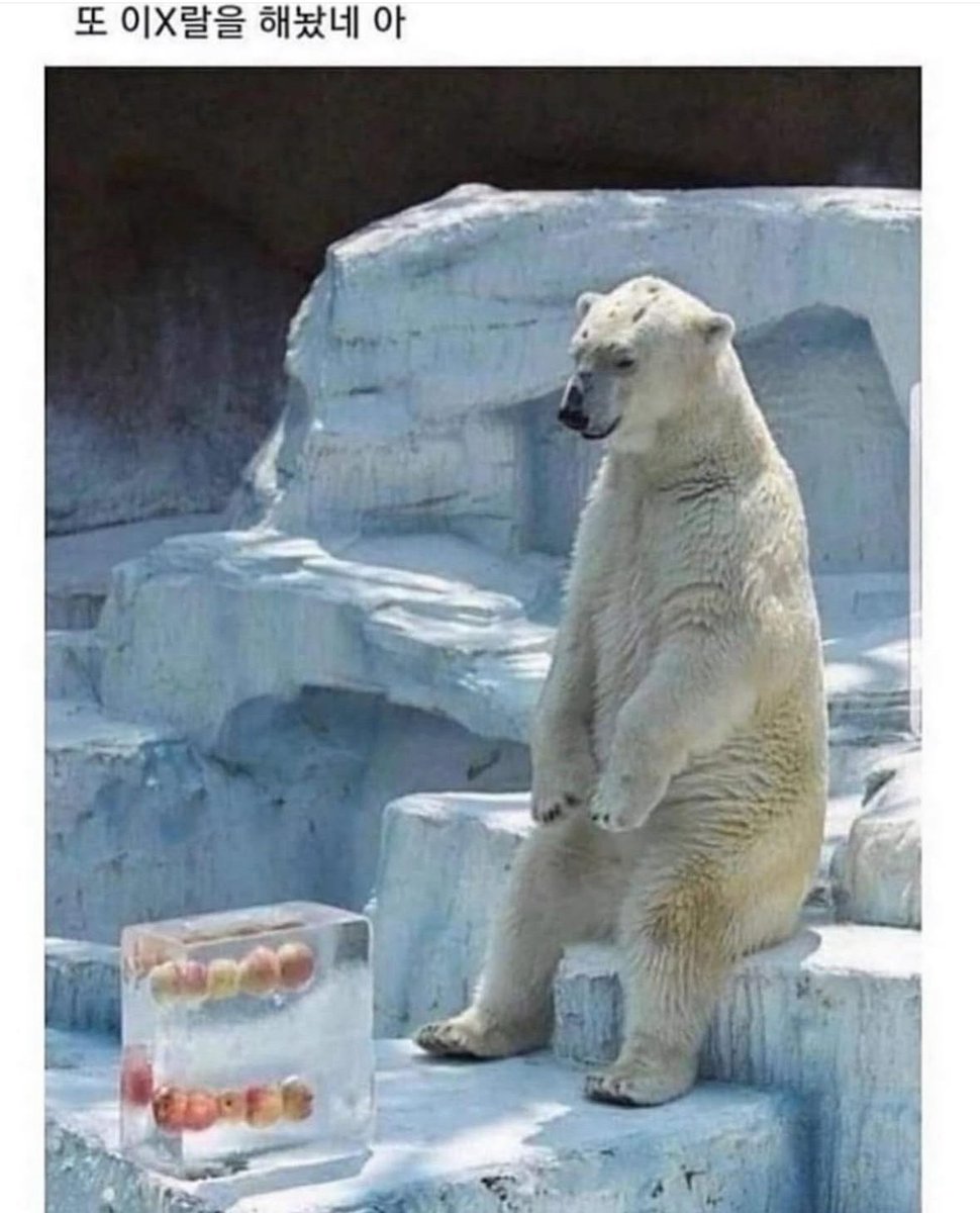 북크북크 tweet media