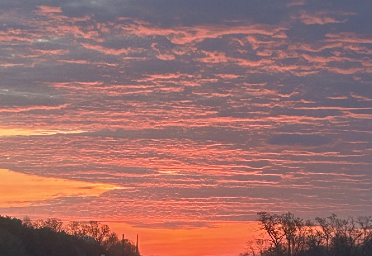 TIMOTHY BUTZ tweet media