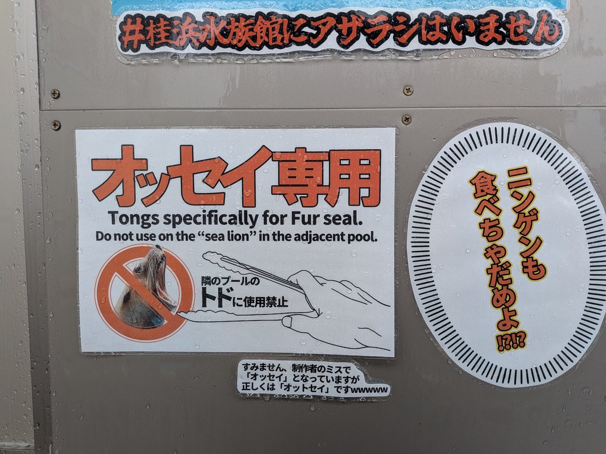 あやね(TEFTEF) tweet media