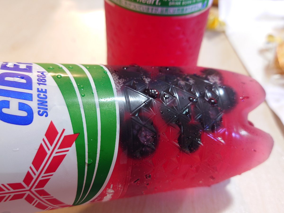 ナツ@爬虫類飼育初心者 tweet media