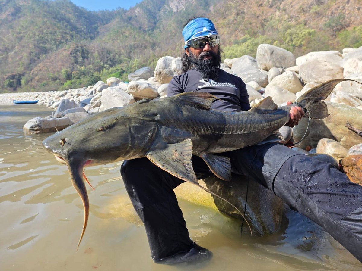 HikmatThap57042's tweet photo. सेती कर्णाली अन्तर्राष्ट्रिय महासीर एङ्गलिङ च्यालेन्ज नेपाल २०२६ का विजेताहरू ।
( यी माछाहरु समातेर फेरि जीउँदै नदीमा छोडिएका हुन ।) 
Congratulations Devraj Jaishi  for a successful international level event🎉 https://t.co/ruUn25XbyE