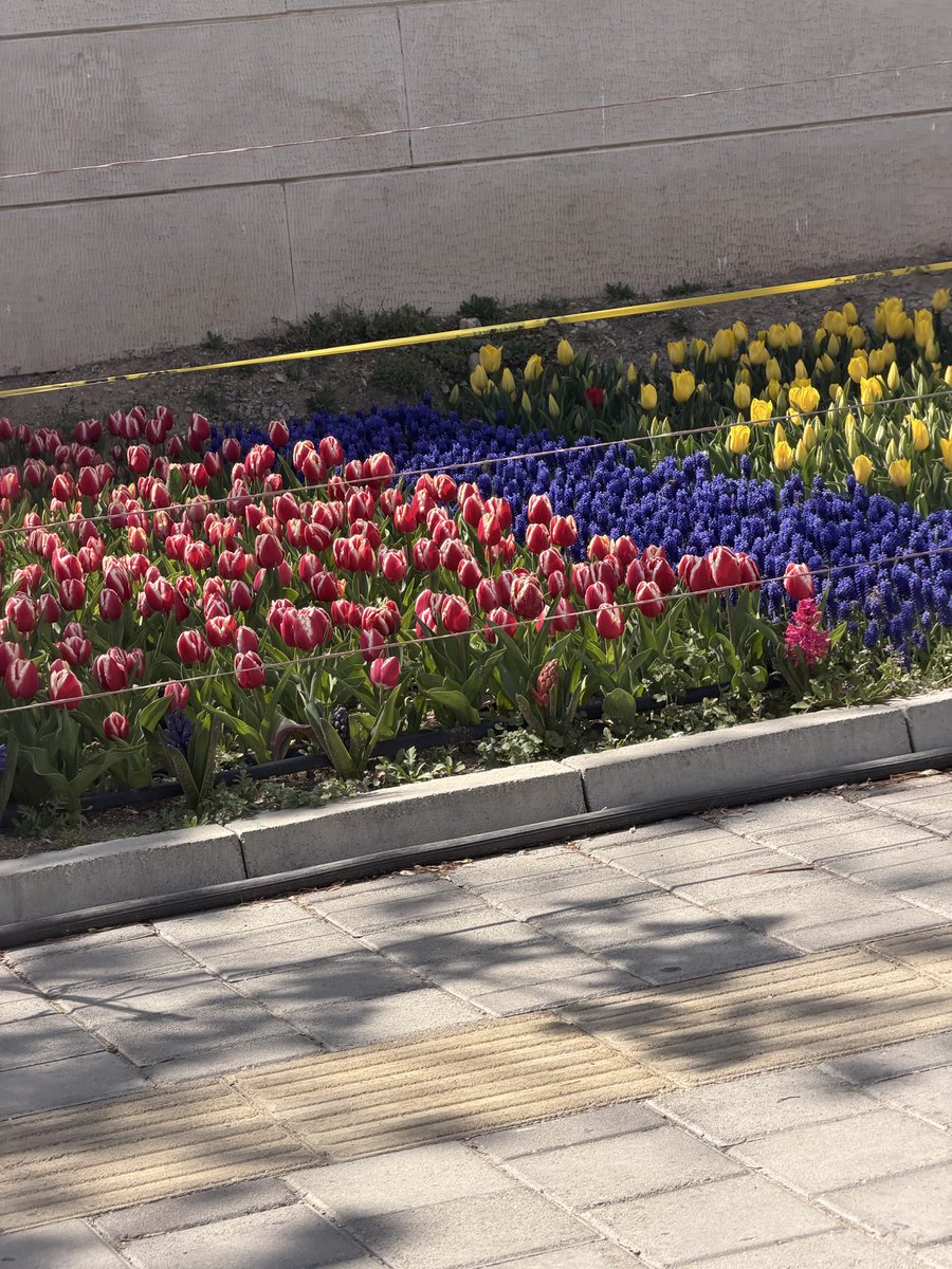 Alireza0098 tweet media