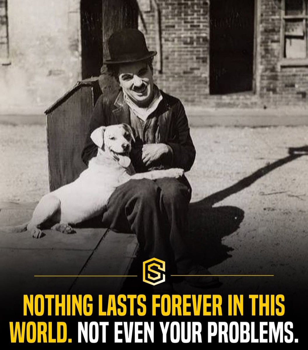 FRANKVANDEREIJK tweet media