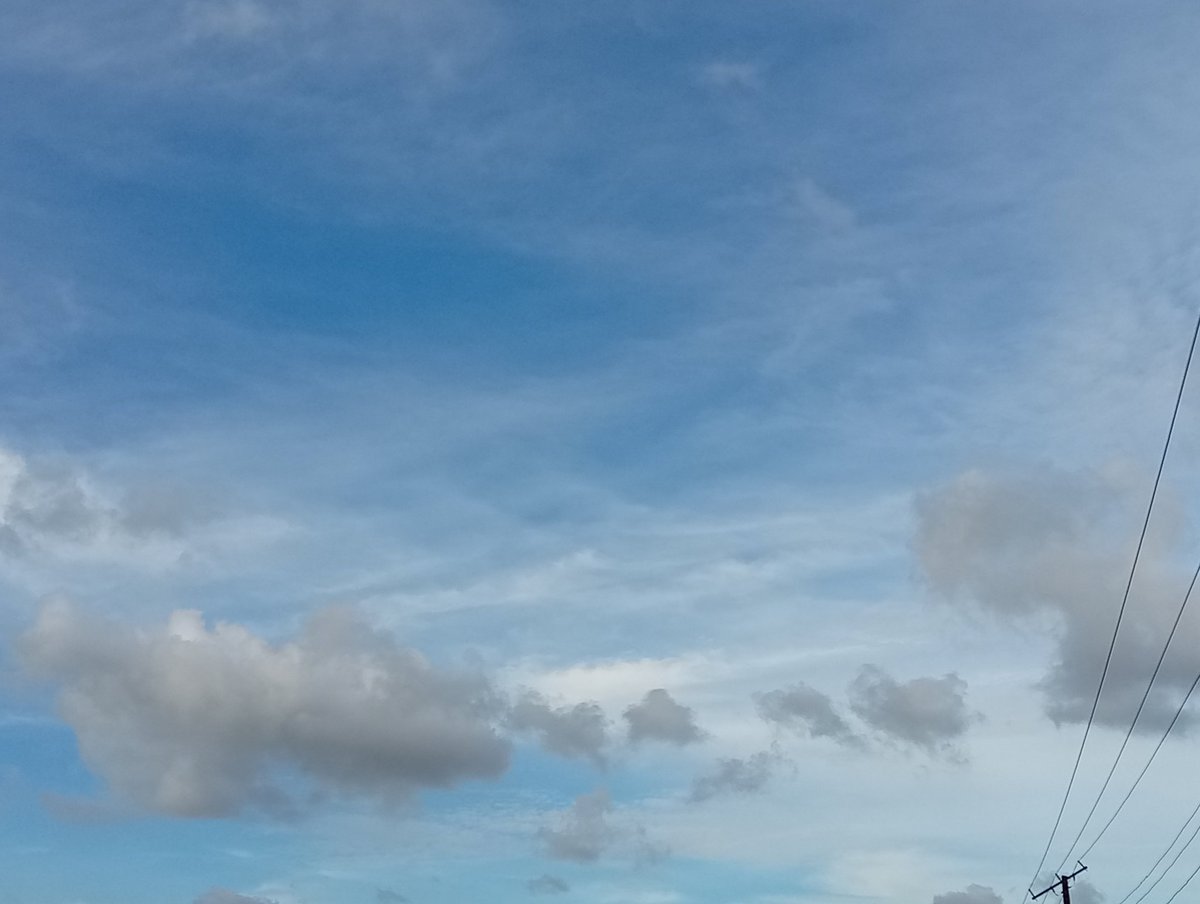 OMO_BOLA_NLE tweet media