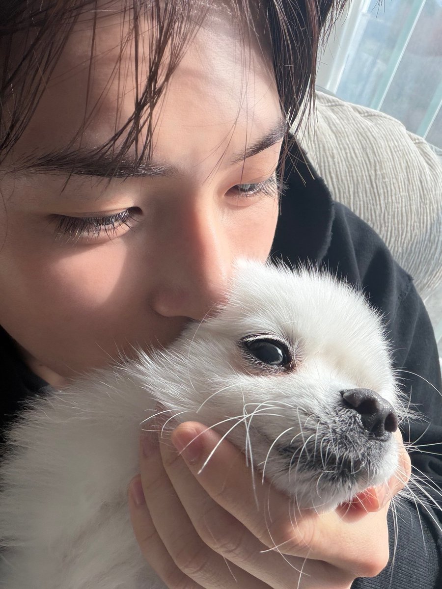 hanbin archive tweet media