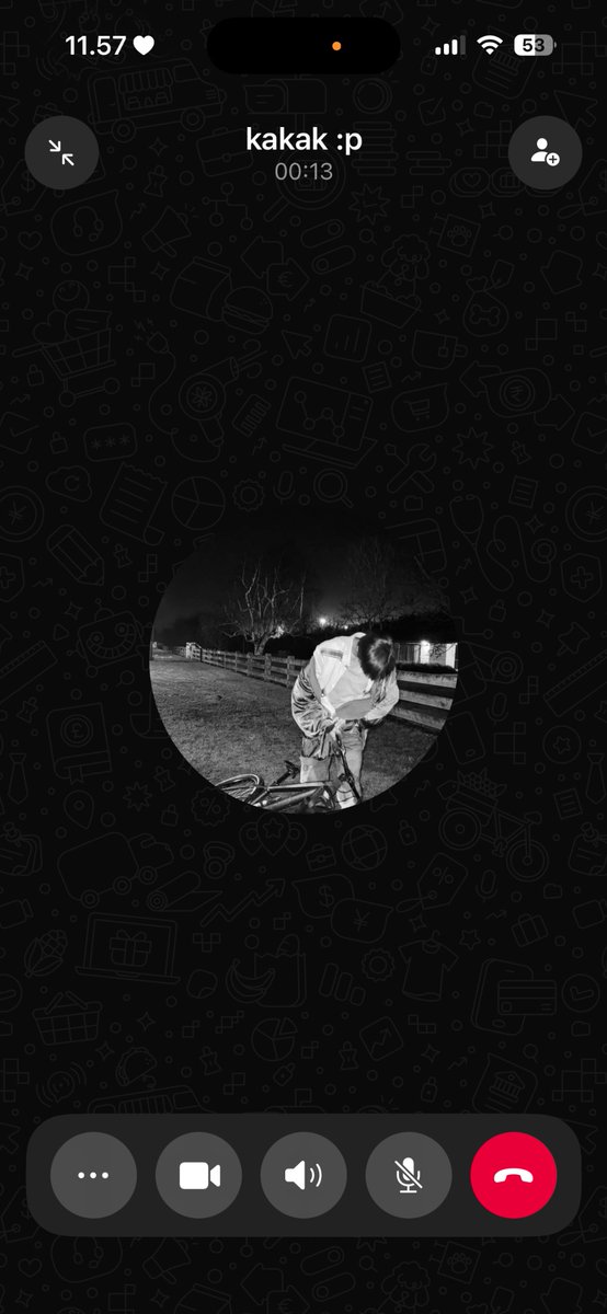 *ੈ𑁍༘⋆ tweet media