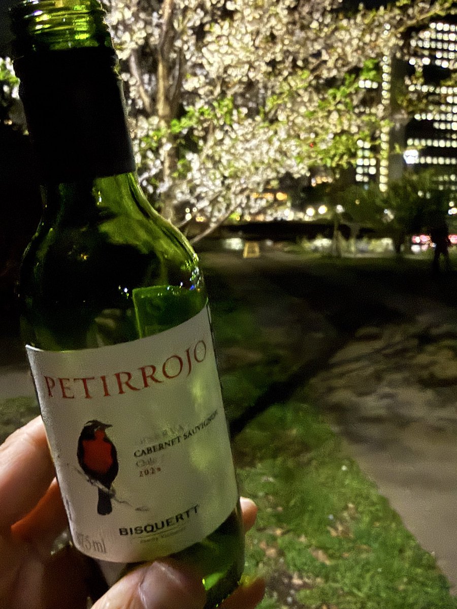 aidatheremin's tweet photo. 昨夜の地元での夜桜見物のお供はクォーターボトルのワイン、ラッパ飲み。の前には缶入りの発泡ワイン。その後初めて訪れたスペインワイン専門バーでグラス二杯。お知り合いの方が後から来られて驚いた。 https://t.co/IESmZ5TSJh