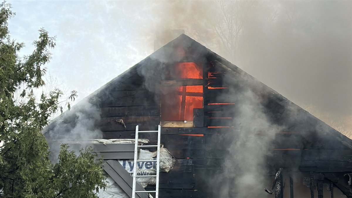 Matthew Gregoire tweet media