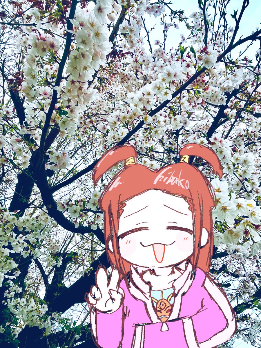 2026年の私のサクラ🌸よく咲きました✌️(◜ω◝)ﾔｯﾀｰ
