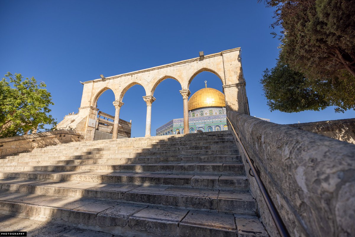 Life With Allah - الحياة مع الله tweet media